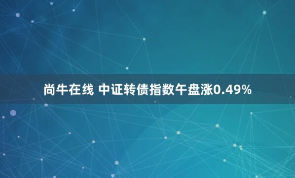 尚牛在线 中证转债指数午盘涨0.49%