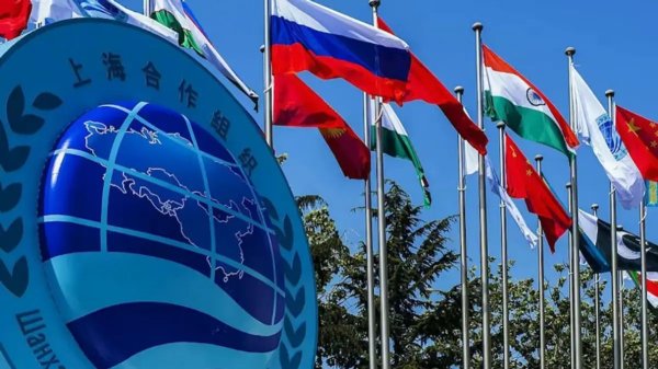 牛管家 中方谈主办上合峰会: 将办成一届友好、团结、成果丰硕的峰会