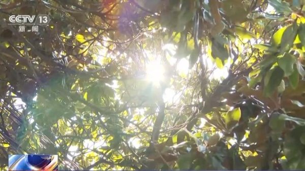 天诚配资 秋燥秋乏“秋老虎”，立秋时节如何养生？专家建议